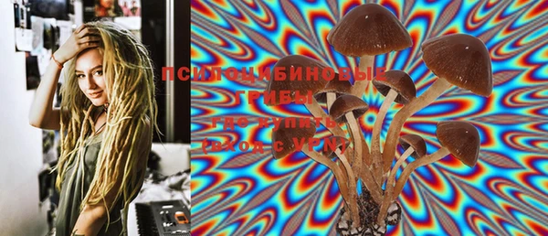мяу мяу мука Алексин