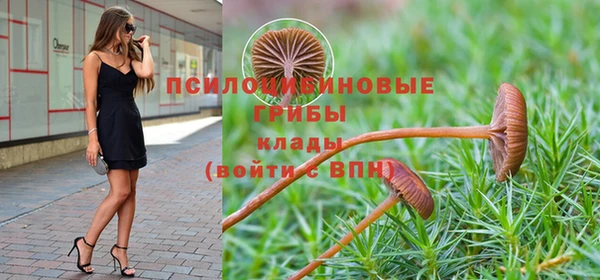 не бодяженный Алзамай