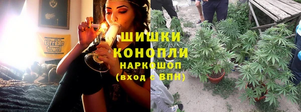 сатива Майский