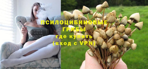 не бодяженный Алзамай