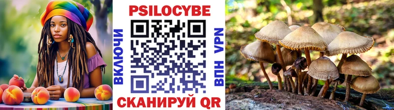 Псилоцибиновые грибы Magic Shrooms  Саянск 